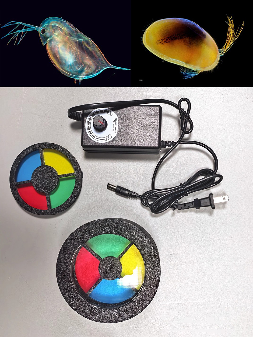 Darkfield Macro Flash for Micr - Photography Lighting Diy review and price