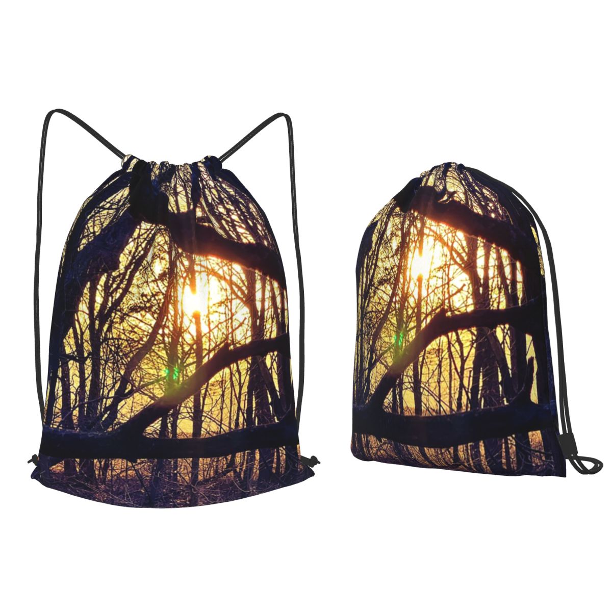 Forest Light At Sunset Nature  - Lighting In Photography Book review and price