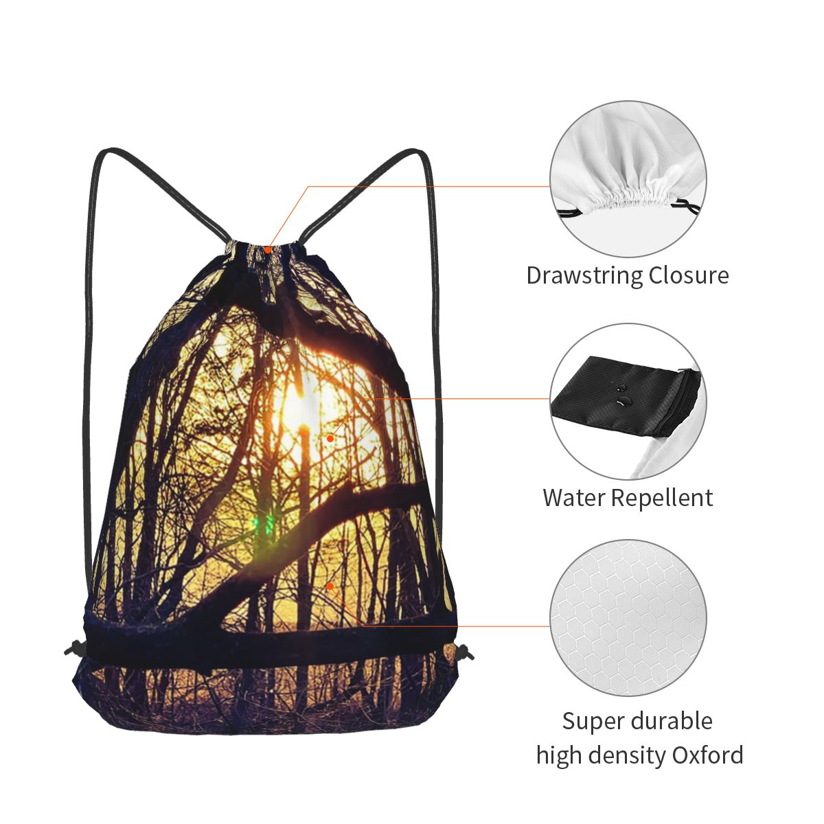 Forest Light At Sunset Nature  - Lighting In Photography Book review and price